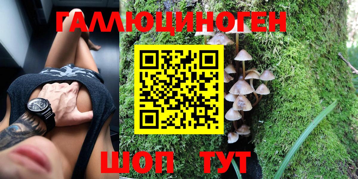 Псилоцибиновые грибы мицелий Курган